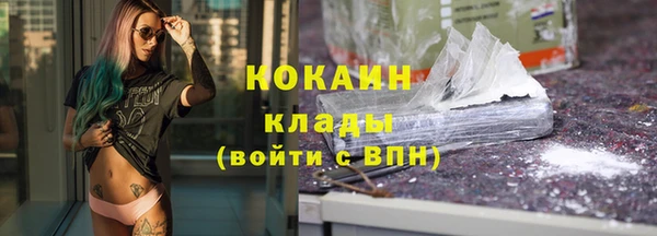 гидра Володарск