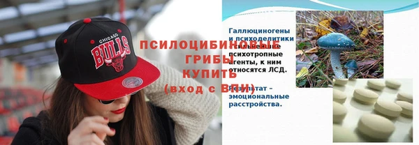 гидра Володарск