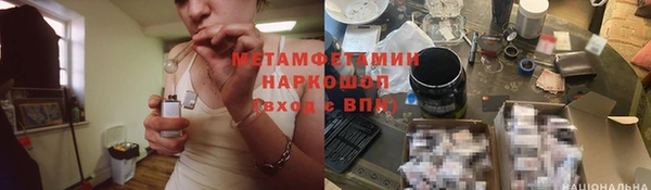 гидра Володарск