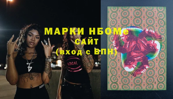 гидра Володарск