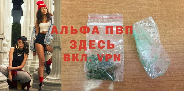 гидра Володарск