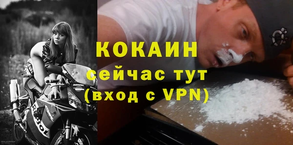 гидра Володарск